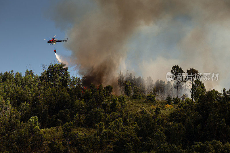 葡萄牙，Povoa de Lanhoso，消防队员在森林大火的白天洒水。